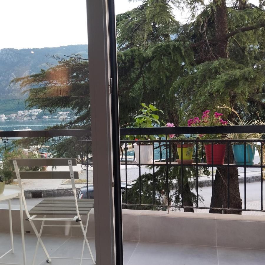 Apartman Lubarda Apartment Kotor Luaran gambar