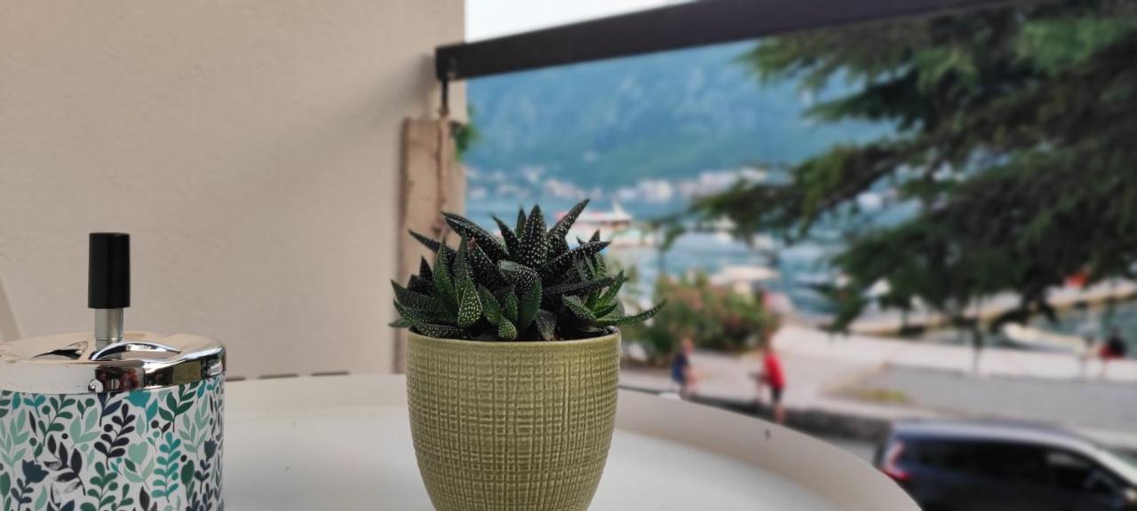 Apartman Lubarda Apartment Kotor Luaran gambar
